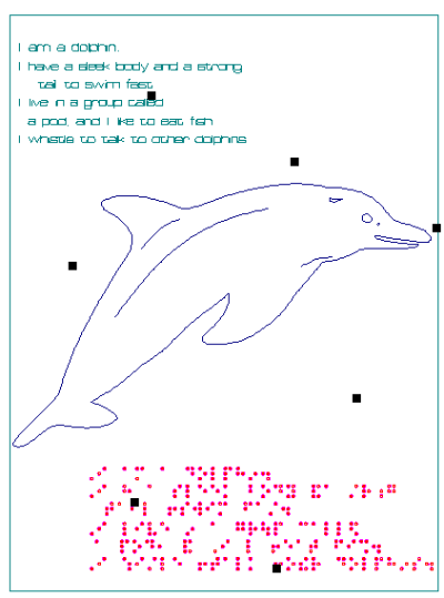 An outline drawing of a dolphin with both English and braille printed around the graphic.