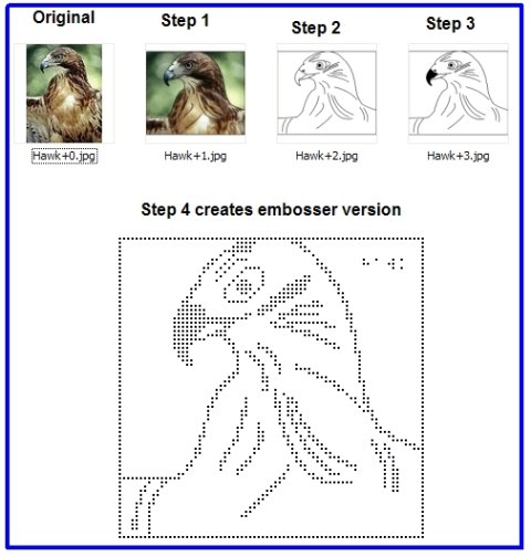 Step by step example of producing an embossed braille image, starting with a picture of a hawk in the top left. In step 2 the color picture is a pixel outline of the hawk. The final step creates the embosser version.