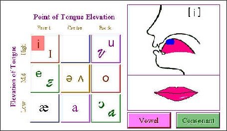 Screenshot of an analysis of tongue elevation with vowel sounds indicators on the left and a graphic of the tongue and mouth on the right.