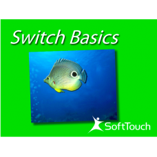 Program cover showing an image of a tropical fish inside a blue square of water superimposed over a light green background.