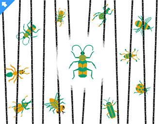 Drawing of a colorful bug in the center surrounded by smaller colorful bugs slightly obscured by blades of grass.