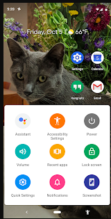 A phone's homepage with a colorful personalized background of a cat, 4 icon buttons shown on the top half marked as Settings, hangout, Gmail, and calendar. The bottom half of the screen is a white background with a 3x3 show of buttons: Assistant, Accessibility Setting, Power, Volume, Recent Apps, Lock Screen, Quick Settings, Notifications, and Screenshot.