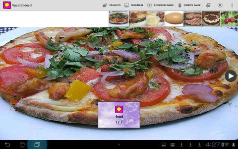 A photo of a pizza with a caption that says food and menu options at the top that include projects, new image, record on image, and remove image.