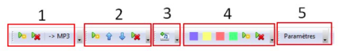 A toolbar broken down into 5 numbered segments showing arrows, play buttons, colorful square label makers, and a voice Parameter tool.