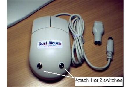 Wired, two clock button mouse with two switch ports and an optional PS / 2 adapter.