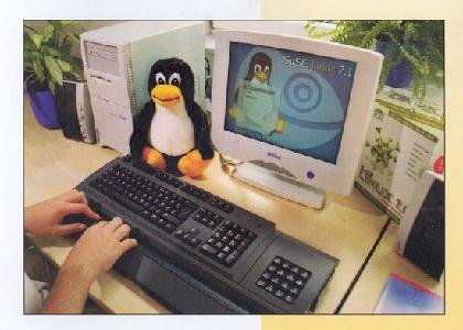 Screen shot of Blinux on screen, hands on a computer keyboard, and stuffed mascot off to the side.