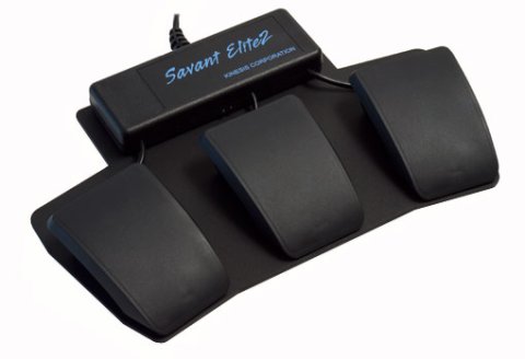 Three black, interconnected foot pedals.