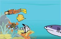 Underwater scene with a diver wearing a scuba diving suit and flippers swimming with three small, brightly colored fish. A shark approaches them.