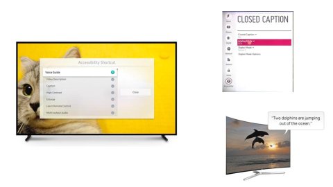 Various types of accessibility features in smart TVs. One image shows an accessibility menu on a TV screen with the option "Audio Guide" selected. Another displays a TV Closed Captioning menu, and a third image demonstrates a TV audio guide feature in use. Two dolphins dive out of the water on screen, while a narrator describes the scene.