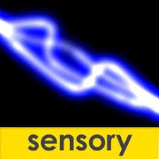 Black square with blue nerve endings diagonally across it and yellow bar along the bottom with the word sensory in the middle.