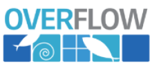 Overflow Biz Inc Logo