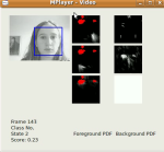 Face-tracking screen with photo of face and detection screens.