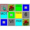 Mémoldée screen with colorful boxes in a 4x3 grid. Inside the squares are real pictures of bugs, words, a pic of an audio speaker, and a number. Some of the squares are repeated, some have minor differences to another.