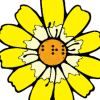 Image of a flower head with yellow petals outlined in black and an orange center.